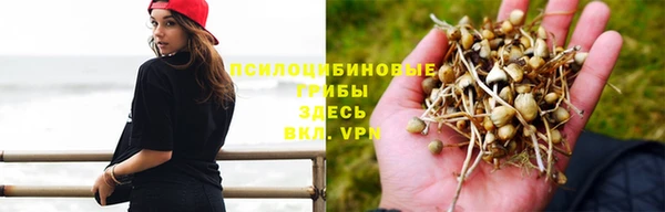 каннабис Пестово