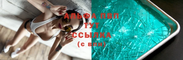 jwh Пересвет