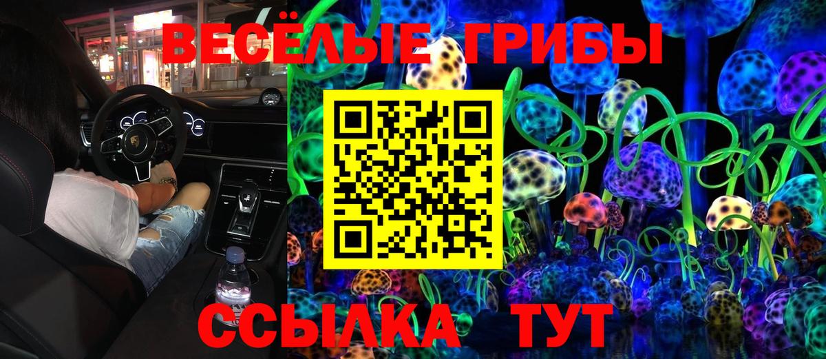 Галлюциногенные грибы Psilocybe  Псилоцибиновые грибы ЛСД  Вход с VPN  Обнинск 